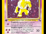 un gros plan d'une carte Pokémon sur laquelle figure un chat
