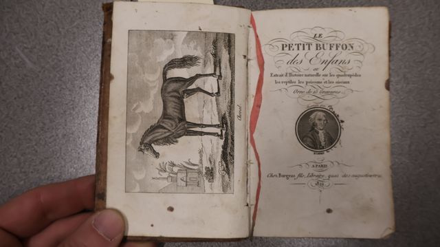 Le petit Buffon des enfants 1822 ; histoire naturelle de Buffon