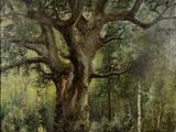 une image représentant un tableau d'un grand arbre dans une forêt