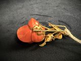 an orange flower brooch on a black cloth