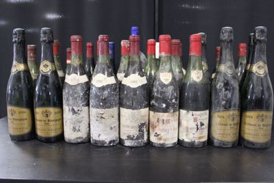 Des bouteilles de vin sont alignées sur une table devant un mur noir.