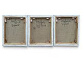 three framed pictures with writing on them are hanging on a wall