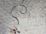 a bed with a dragon design on it and a cat laying on it