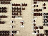 a lot of bugs that are on display on the wall