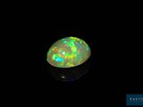 an oplite in the dark with a black background