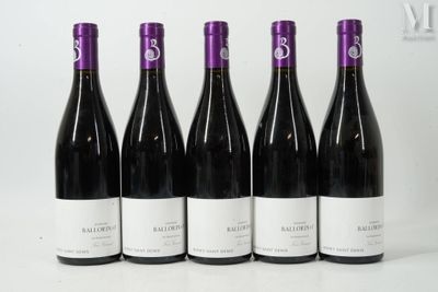 six bouteilles de vin sont alignées sur une surface blanche