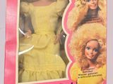 un gros plan d'une poupée Barbie dans une boîte posée sur une table