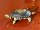 une petite tortue assise sur une table