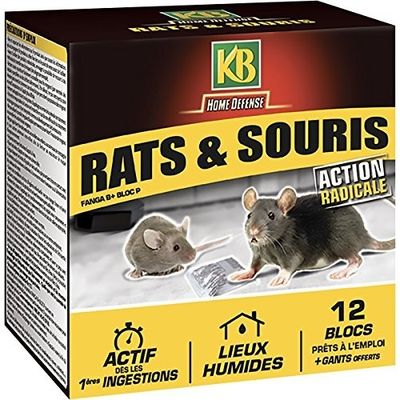 une boîte représentant des rats et des écureuils en pleine action avec une souris
