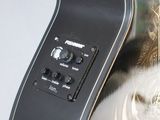 a cat that is sitting on top of a guitar