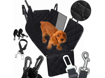 a dog that is sitting in the back of a car seat