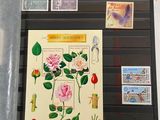 a picture of a collection of stamps and a picture of a rose