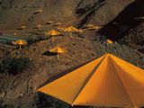 many yellow umbrellas that are on the side of a hill