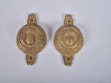 pair of antique brass door handles