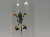 a glass clochet with a flower inside of it