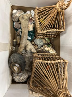 une boîte remplie de cailloux et de coquillages
