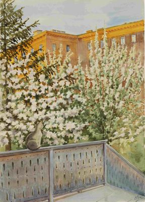 Grande-Duchesse Olga Alexandrovna Romanova (1882 - 1960)