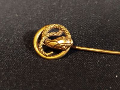 a close up of a gold brooch with a snake on it