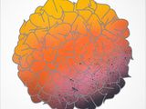 an image of a drawing of a brain with different colors