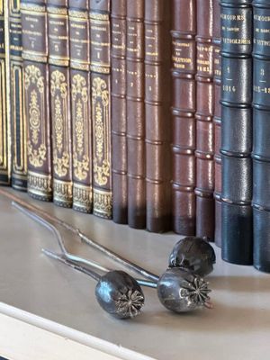 many books on a shelf next to a pair of tongs