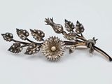 une broche en argent ornée de fleurs et de feuilles