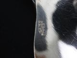a black and white cat sitting on top of a silver spoon