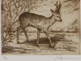 dessin représentant un cerf debout dans un champ, avec des arbres en arrière-plan