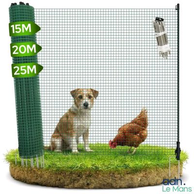 un chien et une poule dans un enclos