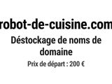 Photo 1/1 du lot