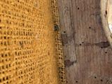 a close up of a piece of wood with a hole in it