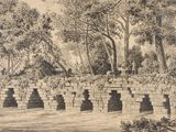 dessin représentant un pont en pierre dans une zone boisée, avec des arbres en arrière-plan