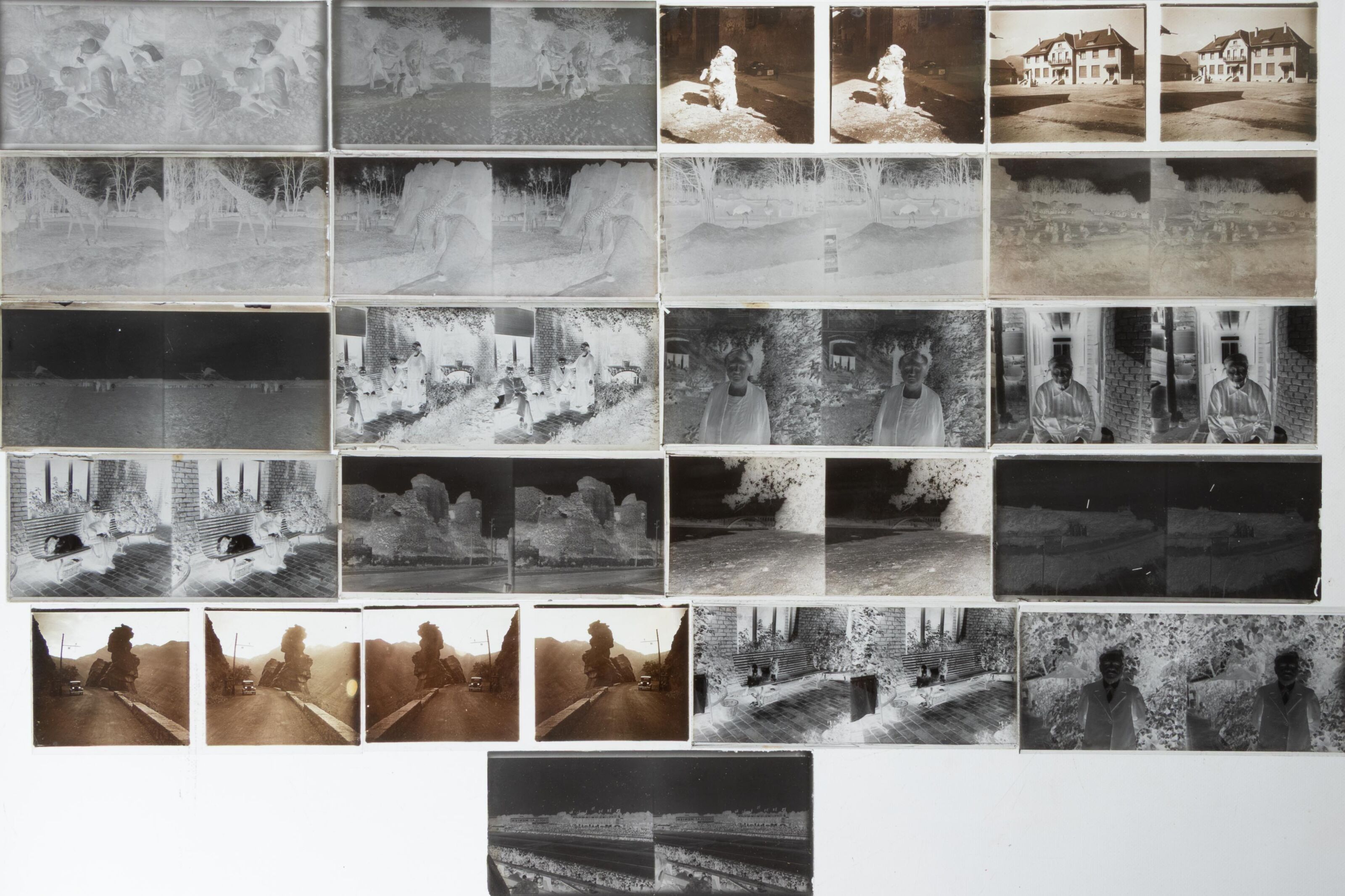 Objets d'art & Curiosités