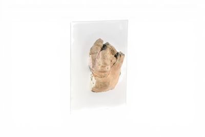 Fragment de visage antique en terre cuite avec traces d'engo…