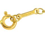 an image of a close up of a gold chain with a dog ' s paw