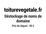 Photo 1/1 du lot
