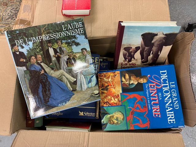 Lot de 7 cartons sur l’art, la peinture, et civilisations. 