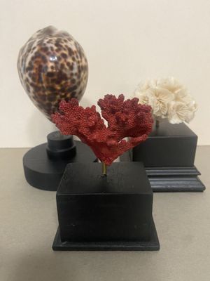 two vases that have been placed on a table