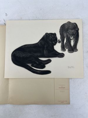 drawing of a black cat and a black leopard on a piece of paper