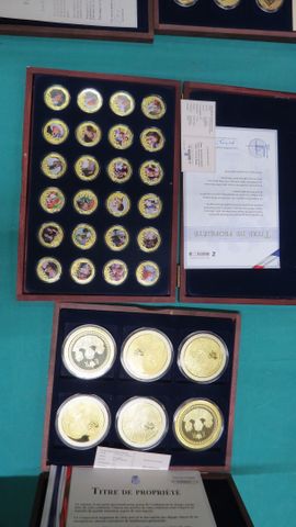 Collection de médailles en coffret : Lady Diana et la reine Elisa...