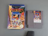 a nintendo game called chip ' s dale and a nintendo game