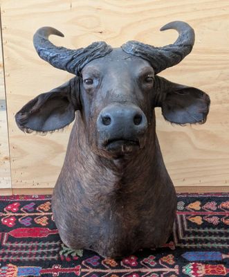 une statue de taureau posée sur un tapis, à même le sol