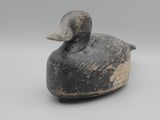 un canard noir et blanc posé sur une surface blanche