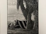 drawing of a man sitting under a palm tree next to a boat