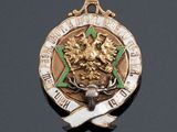 an image of a gold medal with a green star and a ribbon around it