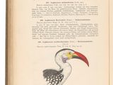 an open book with a drawing of a bird on it ' s cover