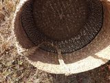 a basket hanging from the side of a tree