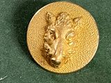 un bouton de couleur dorée orné d'une tête de lion