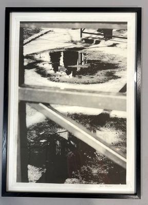 Julie FRANCHET, Stiglietz, 2010, Photographie : impression s…