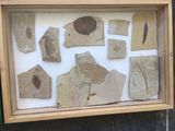 une photo d'une photo montrant un ensemble de roches et d'autres objets