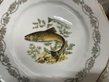 a plate with a fish on it sitting on a table